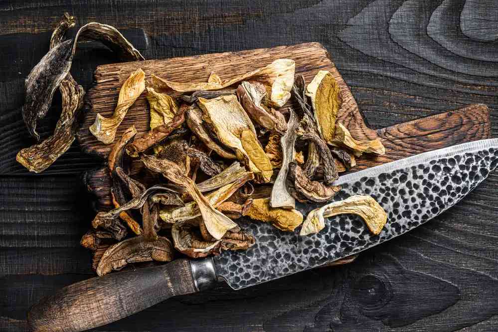 Dried Mushrooms Slices
