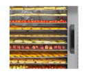 1 Zone / 10 Tray / 0.6m² Tray Area