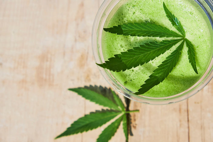 Green smoothie with dehydrated cannabis powder in a glass jar on a wooden surface