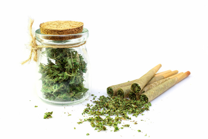 Glass jar with cannabis leaves, scattered cannabis buds, and rolled joints on a white background